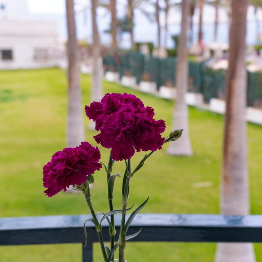 Studio Ocean Coast Los Cristianos Comodoro Zewnętrze zdjęcie